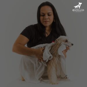 Módulo Banho em Cães – Evoluir Groomer