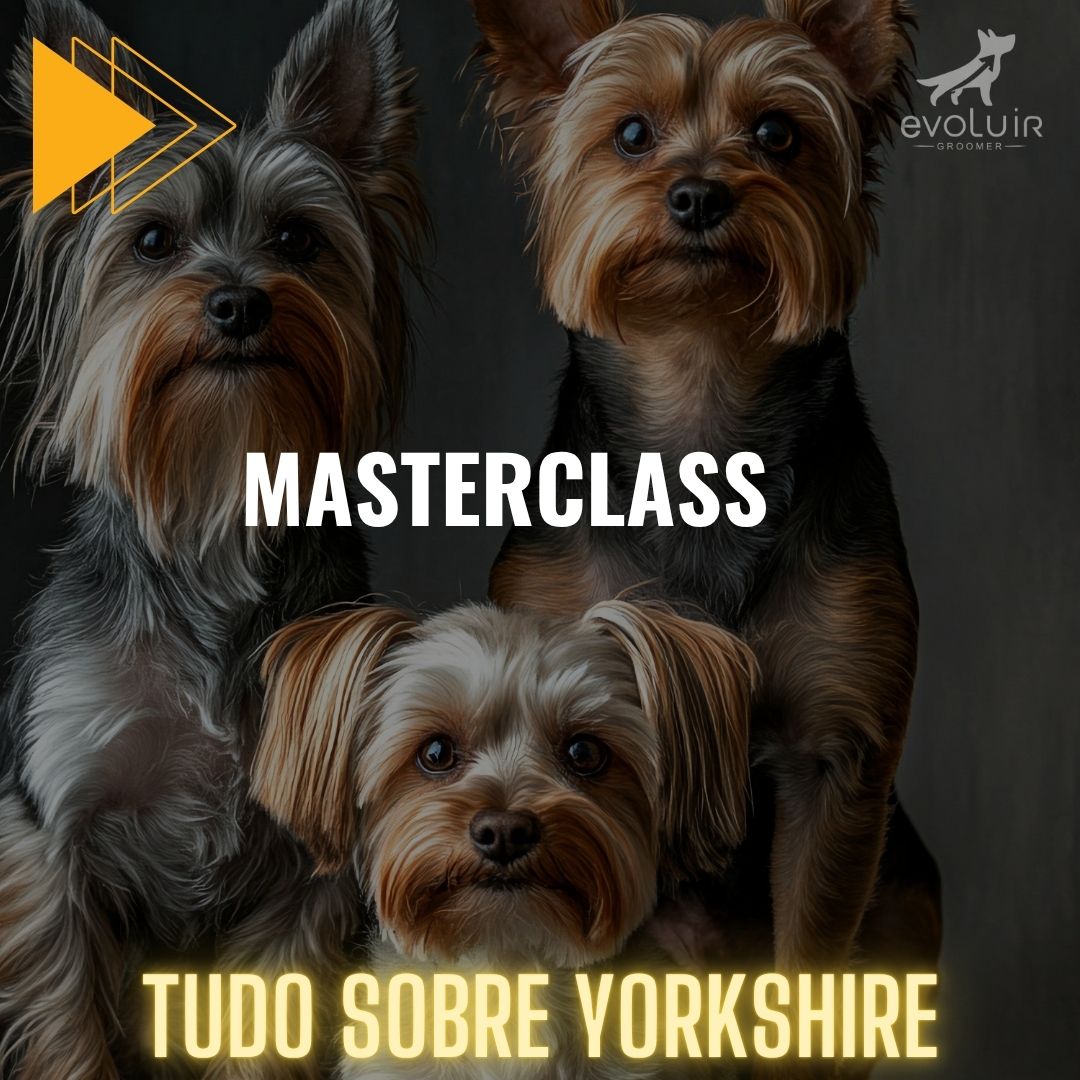 Módulo MasterClass - Tudo para Yorkshire
